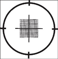 Counting graticule S28, 0.2x0.2mm in 0.01mm squares, black slide/glass disc